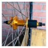 Roue Arrière Custom SeBike 29 Pouces 10v - Wheeling Bike -BRN Soldes roue arriere custom sebike 29 pouces 10v wheeling bike