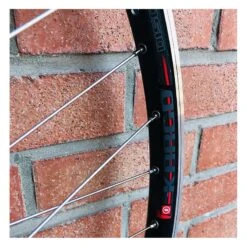 Roue Arrière Custom SeBike 29 Pouces 10v - Wheeling Bike 13 Roue Arrière Custom SeBike 29 Pouces 10v - Wheeling Bike -BRN Soldes roue arriere custom sebike 29 pouces 10v wheeling bike 4