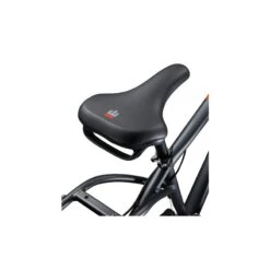 Vélo Cargo MONGOOSE Envoy -BRN Soldes velo cargo mongoose envoy 4